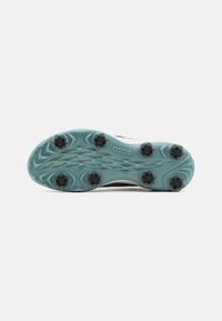 ECCO BIOM TOUR - Golfa apavi - pavement