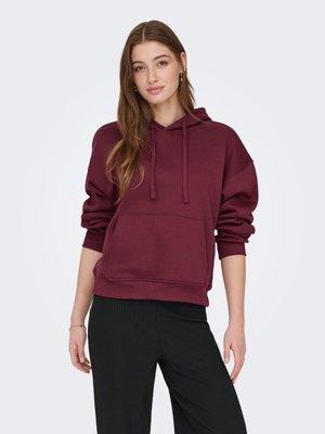 ONLY ONLBEST LIFE  - Hoodie - tawny port