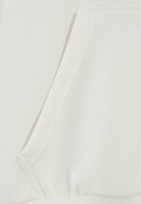 Dropsize HEAVY FRONTLOGO - Sweat à capuche - creamwhite