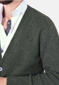 Ciabalù SCOLLO A V - Cardigan - verde