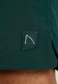 CHASIN' OMAR.S HYBRID - Šortai - dark green