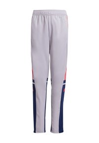 Graue Sporthose mit elastischem Bund, marineblauen seitlichen Einsätzen und roten Akzenten. Hergestellt aus glattem, leichtem Stoff und ausgestattet mit Seitentaschen.
