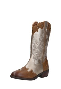 Westerse enkelboot met een metallic zilveren bovenwerk en bruine leren accenten. Heeft sterrenvormige uitsparingen en decoratieve stiksels. Lage hak.