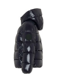 Veste doudoune noire matelassée avec une finition brillante, dotée d'une capuche, d'un design matelassé et d'un insigne circulaire sur la manche supérieure gauche.