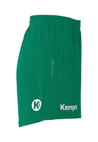 Groene sportieve shorts van lichtgewicht stof. Voorzien van een elastische tailleband, logo-accenten en een tweekleurig ontwerp met een gestructureerd zijpaneel.