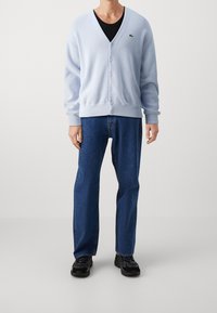 Světlě modrý kardigan s dlouhým rukávem a pěti knoflíky, nošený přes černé tričko. Kombinováno s modrými džínami a  černými teniskami. Viditelné logo Lacoste.