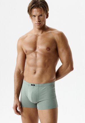 Męski muskularny mężczyzna z mokrymi włosami ubrany w jasnozielone bokserki, stojący na tle jednolitego białego tła, patrzący prosto przed siebie.