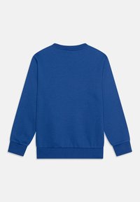 Sudadera azul con escote redondo, mangas largas y puños y dobladillo acanalados. Fabricada con un tejido suave y de textura lisa. Sin patrones ni acentos.