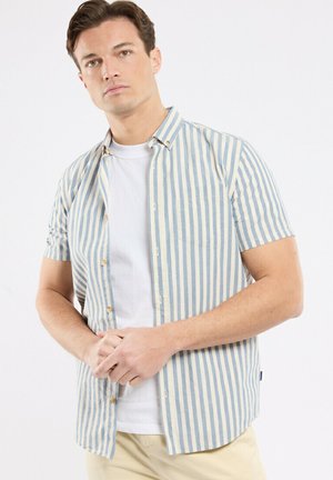 Homme portant une chemise à manches courtes rayée verticalement bleu et blanc par-dessus un t-shirt blanc, debout les mains jointes devant un fond blanc.