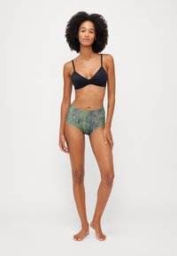Chantelle Briefs - green