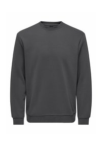 Pilkas džemperis su apvalia i�škirpte, pagamintas iš minkštos medžiagos, su ilgomis rankovėmis, rištu rankogaliu ir apačia, laisvo silueto, be matomų logotipų.