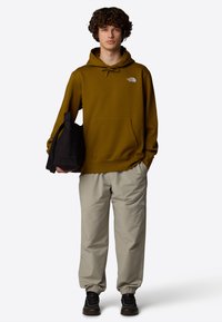 The North Face M ESSENTIAL RELAXED HOODIE - Mikina s kapucňou - moss green