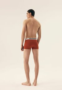 Czerwone bokserki z czarnym logo w pasie, gładka tekstura, dopasowany krój i długość do połowy uda, zaprezentowane z tylnego kąta.