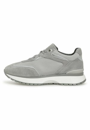 FASHION GATRE - Baskets basses - gray