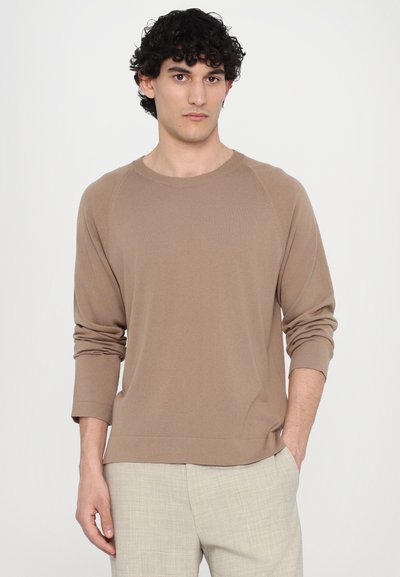 Brown long-sleeve sweater made of lightweight fabric with a crew neck and ribbed cuffs, featuring a relaxed fit and smooth texture.