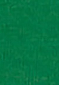 Yhdenmukainen vihreä tausta, jossa on teksturoitu pinta ja hienovaraisia sävy- ja kuvioeroja.