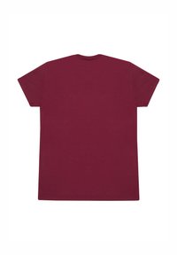 Harry Potter HARRY POTTER HOGWARTS EXPRESS - Triko s potiskem - maroon