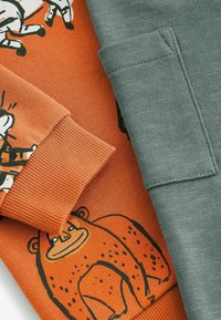 Next LONG SLEEVE SET - REGULAR FIT - Gornji dio trenirke - orange safari