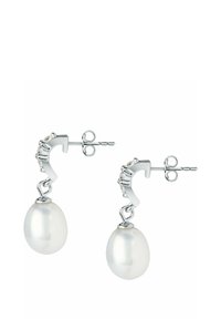 FAVS Örhänge - silver coloured