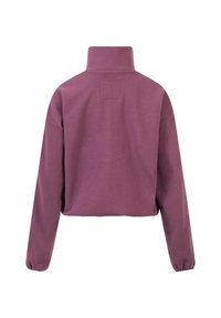 Paarse fleece pullover met een hoge kraag, verlaagde schouders en elastische manchetten. Bevat een vierkante patch op de achterkant. Kort model.
