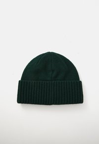 Green ribbed knit beanie with a folded cuff. Made from soft material, features a rounded top and textured surface. Simple design.