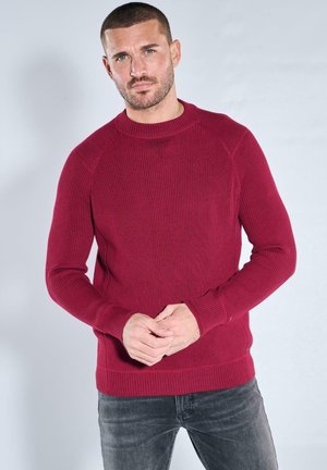 Mann mit kurzem Haar und Bart, der einen dunkelroten, gerippten Pullover und dunkelgraue Jeans trägt, vor einem einfachen hellgrauen Hintergrund steht.