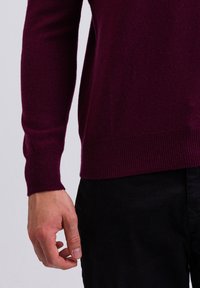 CASH-MERE V-AUSSCHNITT - Trui - cranberry rot