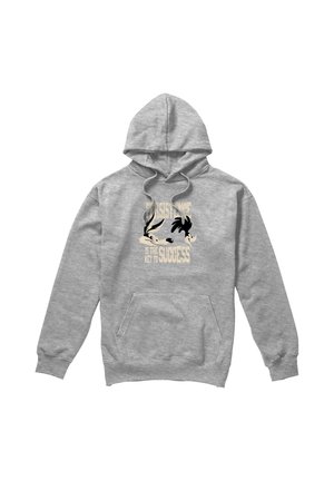 Warner Brothers, LOONEY TUNES PERSISTENCE - Hoodie - mottled light grey
