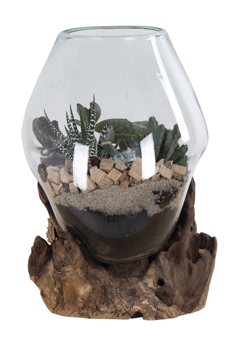 Glazen terrarium met een ronde vorm, voorzien van groene vetplanten, houten stukjes en zand op een gestructureerde houten basis.