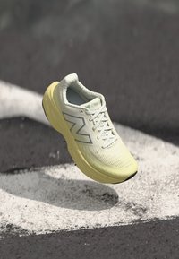 FRESH FOAM X 1080 V14 - Apavi skriešanai pa asfaltu - winter grass