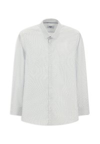 Lichtblauw en wit gestreept overhemd met knopen, een puntkraag en lange mouwen. Gemaakt van geweven stof met een gladde textuur.