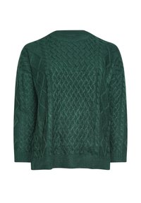 Suéter verde de punto con un diseño de cable texturizado, cuello redondo y mangas largas. La tela parece suave y duradera.