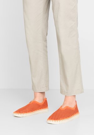 TULIP3275 - Zapatillas - orange