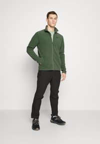 Helly Hansen DAYBREAKER - Giacca in pile - spruce