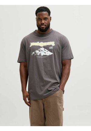 JCOFLARE BRANDING TEE CREW NECK - Potiskana majica - pavement