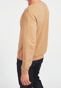 Felpa color sabbia con collo rotondo, polsini a costine e una texture liscia. Presenta un dettaglio di cucitura lungo il retro e un piccolo accento sul polsino.