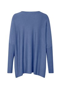 Lässiger, langärmeliger blauer Pullover mit gerippten Bündchen und geradem Saum, von hinten auf einem weißen Hintergrund gezeigt.