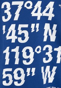 The North Face COORDINATES GRAPHIC OVERSIZED HOODIE UNISEX - Majica s kapuljačom - blue