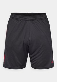 Shorts de sport noirs avec une taille élastique, dotés d'un logo rouge sur le côté et d'un tissu lisse et léger. Pas de poches visibles.