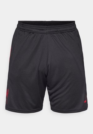 Melni sporta šorti ar elastīgu jostasvietu, ar sarkanu logotipu sānos un gludu, vieglu audumu. Redzami nav kabatas.