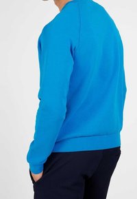 Sudadera azul con escote redondo, puños y dobladillo acanalados. Textura suave y color sólido, vista desde la parte posterior, combinada con pantalones oscuros.