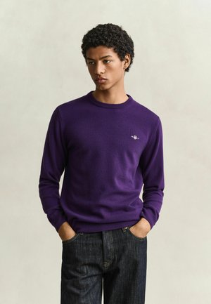 Giovane uomo con capelli ricci che indossa un maglione viola a maniche lunghe e jeans scuri, in piedi con le mani nelle tasche su uno sfondo uniforme.