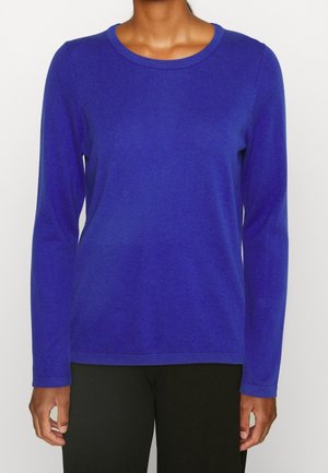 Personne portant un pull à manches longues bleu royal à col rond avec un pantalon noir, visible du cou aux hanches sur un fond uni.