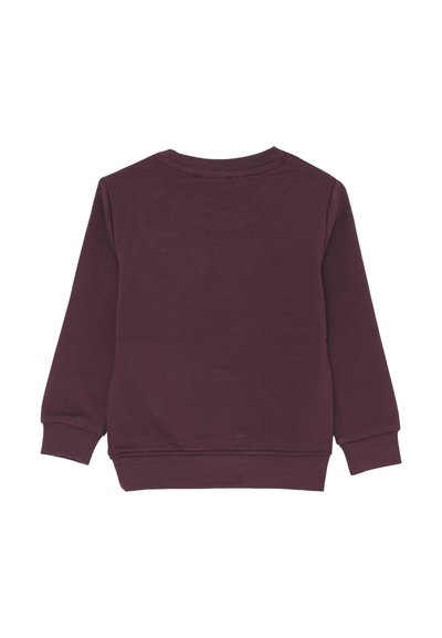 Vista posteriore di una felpa a maniche lunghe di colore viola scuro, senza stampa, con polsini e orlo a costine su uno sfondo bianco.