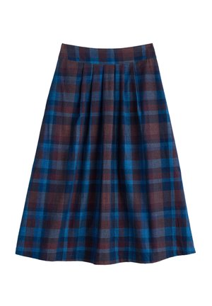 Blauw en bruin geruit geplisseerde rok met een hoge tailleband, knielang, plat weergegeven op een witte achtergrond.