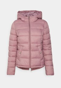 Não selecionado, nostalgia rose