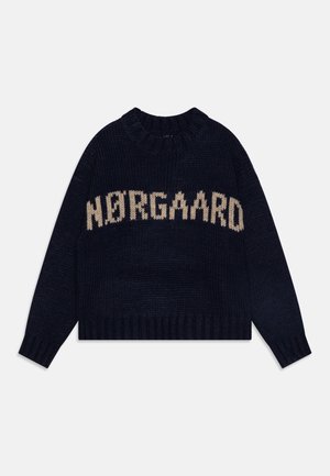 CRASH TILONINA UNISEX - Strickpullover - deep well/nature melange