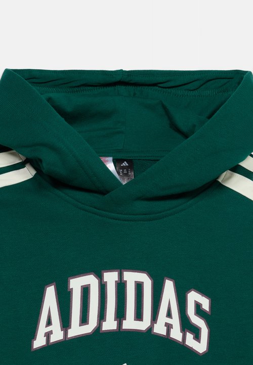 adidas Sudadera de niños Seasonals Collegiate Verde — photo 3