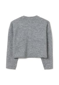 Grauer, kurz geschnittener Pullover mit langen Ärmeln, einem gerippten Ausschnitt und verstreuten silbernen Pailletten auf dem Stoff für zusätzliche Details.