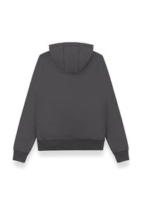 Grå huvtröja med långa ärmar, ribbade muddar och fåll, samt en mjuk textur. Har en enkel och ren design utan mönster.